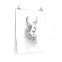 ANNIE Llama- Art Paper Print