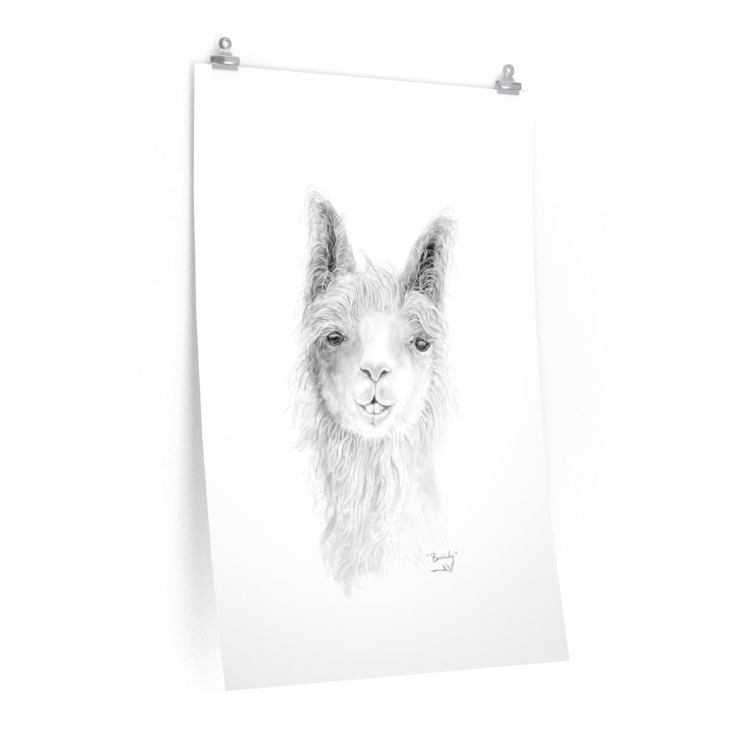 BEVERLY Llama- Art Paper Print