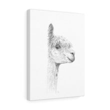 Piper Llama - Art Canvas