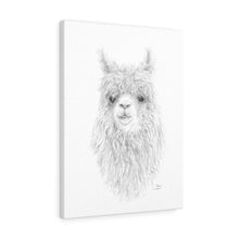 MARY Llama - Art Canvas