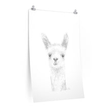 MARCIE Llama- Art Paper Print