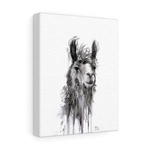 ALFONSO Llama - Art Canvas