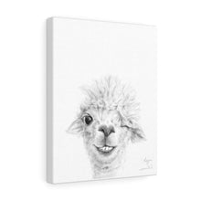 MAGGIE Llama - Art Canvas
