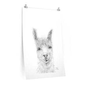 BRIDGER Llama- Art Paper Print