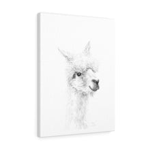 WES Llama - Art Canvas