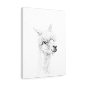 WES Llama - Art Canvas