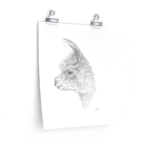 AARON Llama- Art Paper Print