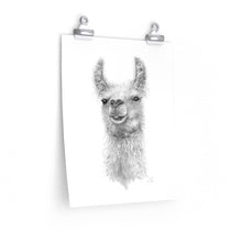 CRYSTAL Llama- Art Paper Print