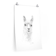 NICOLE Llama- Art Paper Print