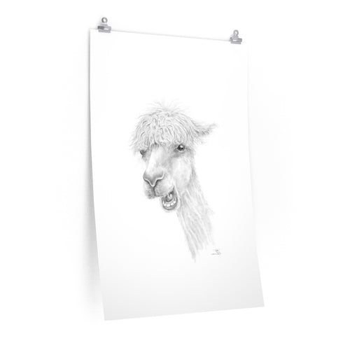 TYLER Llama- Art Paper Print