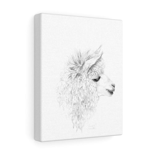 ARIANA Llama - Art Canvas