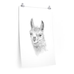 SARA Llama- Art Paper Print