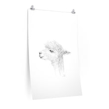 TAYLOR Llama- Art Paper Print