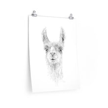 JAMESON Llama- Art Paper Print