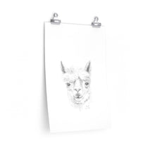 RHETT Llama- Art Paper Print