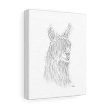 AMBER Llama - Art Canvas
