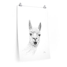 EVIE Llama- Art Paper Print