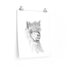 CASSIDY Llama- Art Paper Print