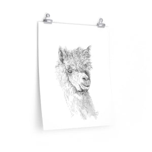 CASSIDY Llama- Art Paper Print