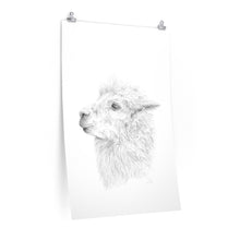 VERA Llama- Art Paper Print