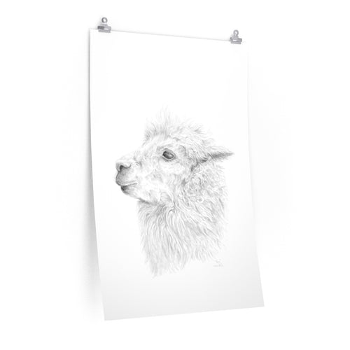 VERA Llama- Art Paper Print