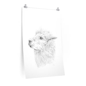 VERA Llama- Art Paper Print