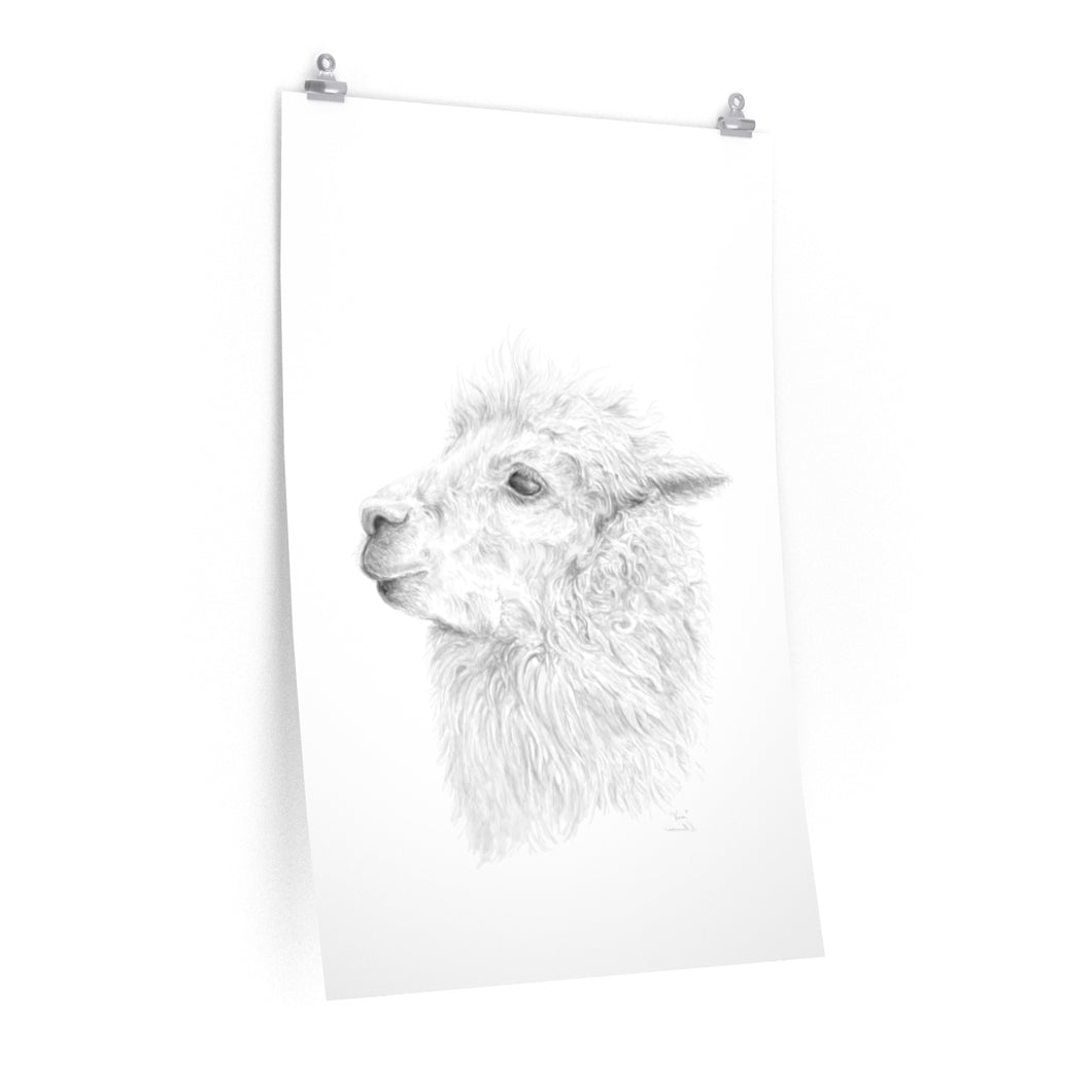 VERA Llama- Art Paper Print