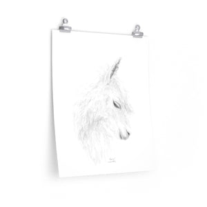 ALAINA Llama- Art Paper Print