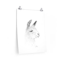 MARIA Llama- Art Paper Print
