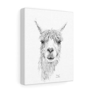 RACHEL Llama - Art Canvas