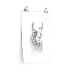 ANNIE Llama- Art Paper Print