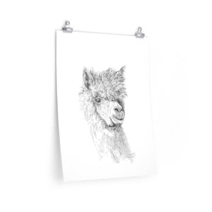 CASSIDY Llama- Art Paper Print