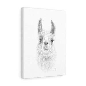 SARAH Llama - Art Canvas
