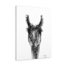 TRILLIAN Llama - Art Canvas