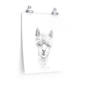 JENNY Llama- Art Paper Print