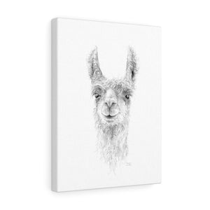 JAMESON Llama - Art Canvas