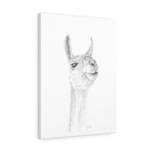 AMY Llama - Art Canvas