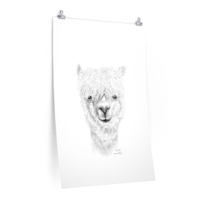 RANDI Llama- Art Paper Print