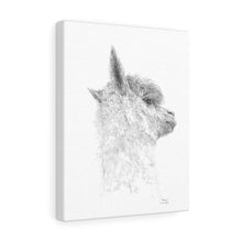 NAOMI Llama - Art Canvas
