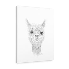 ADELINE Llama - Art Canvas