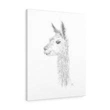 KYLEIGH Llama - Art Canvas