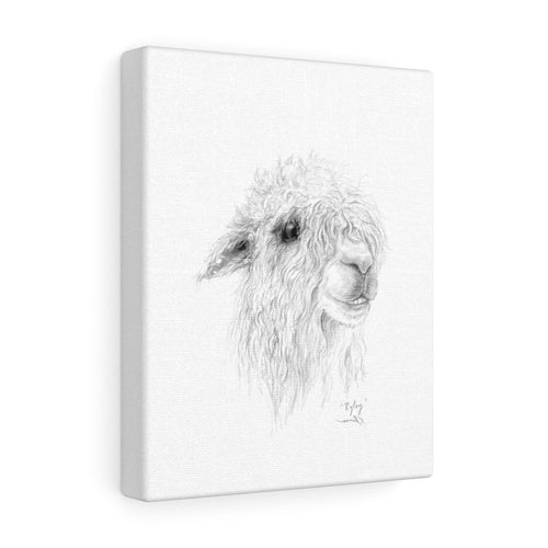 RYLEY Llama - Art Canvas