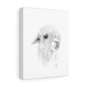 RYLEY Llama - Art Canvas