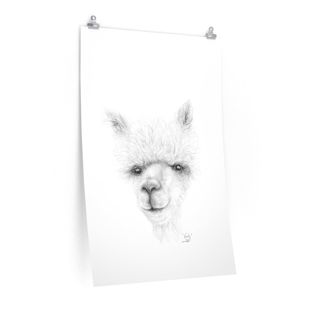 KADY Llama- Art Paper Print