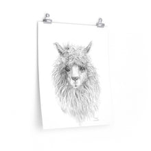 EDDIE Llama- Art Paper Print