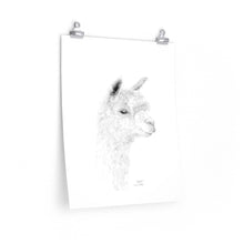 SOPHIE Llama- Art Paper Print