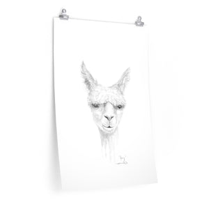 JOEY Llama- Art Paper Print