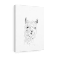 PRESCOTT Llama - Art Canvas