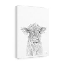 Harry Cow - Animal Art Canvas
