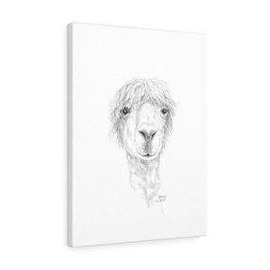 MARLEY Llama - Art Canvas